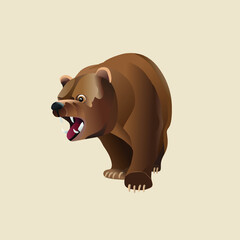 angry bear