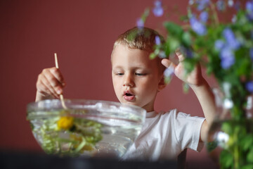 portrait of a blond boy playing with a wooden stick and dandelions floating in a glass transparent bowl.
lmage with selective focus