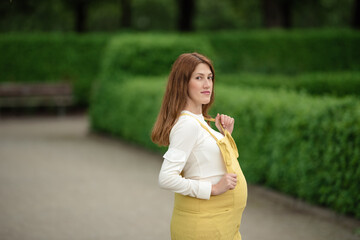 Beautiful pregnant girl walking in the Park.