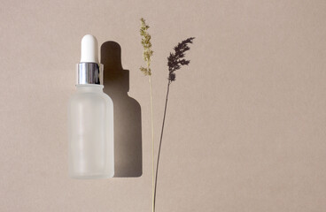 Facial essential serum bottle with pipette on beige brown background with meadow herb and trendy shadow top view, above. Mockup white plastic container for cosmetic product with copy space