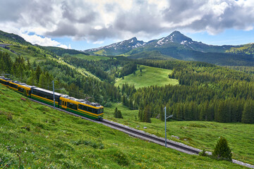 Fototapeta na wymiar Landscape of Swiss Alps with green nature, meadow and Grindelwald - Kleine Scheidegg train, Bernese Alps, Switzerland.