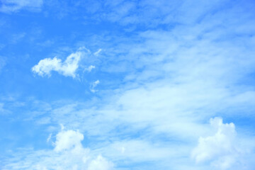 Naklejka na ściany i meble Sky landscape with beautiful gentle white clouds on the sky horizontal view