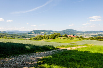 Dornach, Arlesheim Landwirtschaft, Burgruine Dorneck, Ruine, Birstal, Wanderweg, Errmitage, Wald, Aussichtspunkt, Baselland, Sommer, Schweiz