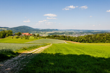 Dornach, Arlesheim Landwirtschaft, Burgruine Dorneck, Ruine, Birstal, Wanderweg, Errmitage, Wald,...