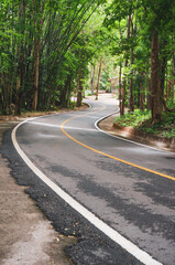 Cement road after rain in green rural areas