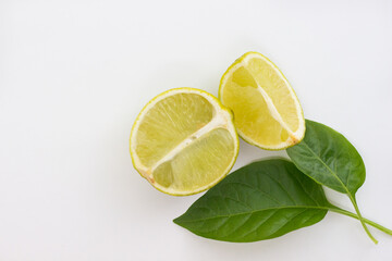 lime on a white background green leaves top view