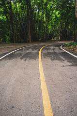 Cement road after rain in green rural areas