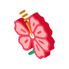 hibiscus flower icon vector. isometric hibiscus flower sign. color isolated symbol illustration