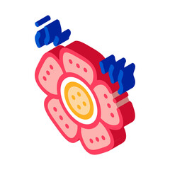 kind of malaysian flower icon vector. isometric kind of malaysian flower sign. color isolated symbol illustration