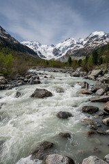 Fototapeta premium Val Morteratsch bei Pontresina im Frühling