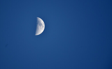 evening moon on a blue sky
