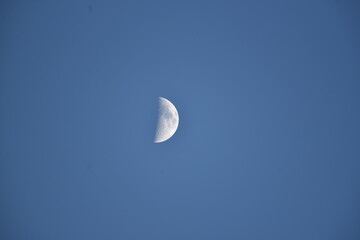 evening moon on a blue sky
