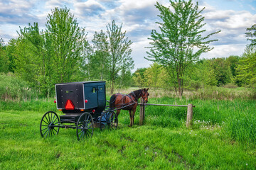 Horse and Buggy wait for their Amish owners.