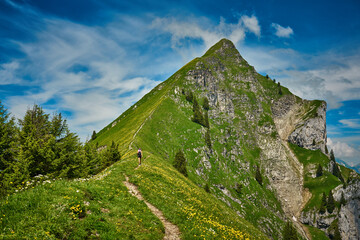 Landscape with Swiss Alps mountains and green nature. Photo taken at Hardergrat ridge trail / hike, near Interlaken, Switzerland. 