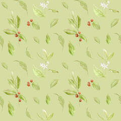 Watercolor coffee seamless pattern. Hand painted branches of coffee, red coffee beans, flowers