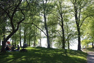 Hatanpään arboretum