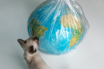 Animals and ecology concept. Globe in a plastic bag with a Siamese kitten on light background. Plastics and Globe in the Global Concept of Plastics. 
