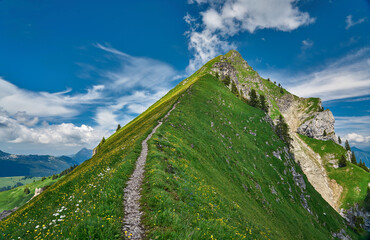Landscape with Swiss Alps mountains and green nature. Photo taken at Hardergrat ridge trail / hike,...