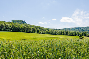 Dornach, Gempen, Gempenplateau, Gempenturm, Arlesheim, Wanderweg, Landwirtschaft, Felder,...