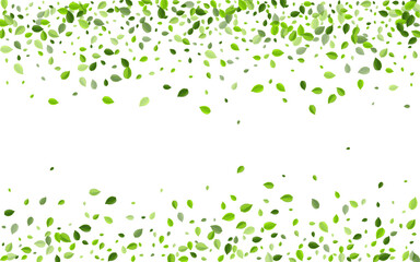 Mint Leaves Organic Vector Concept. Flying Leaf 