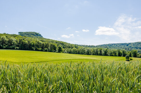 Dornach, Gempen, Gempenplateau, Gempenturm, Arlesheim, Wanderweg, Landwirtschaft, Felder, Baselland, Solothurn, Sommer, Schweiz