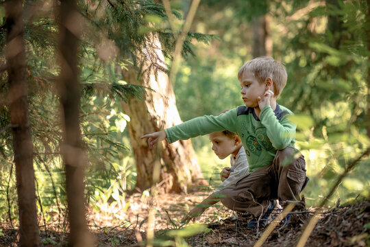 Cute little boys squatted down on theis haunches in forest looking for mushrooms. One boy is pointing somewhere. Image with selective focus
