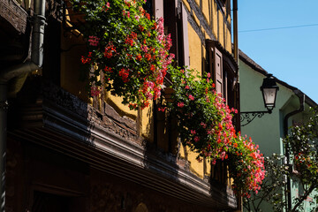 Fototapeta na wymiar Eguisheim, colors in the houses and flowers in the windows