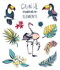 Tropical summer party design set palm leaves, tropical flowers, birds. © svsunny