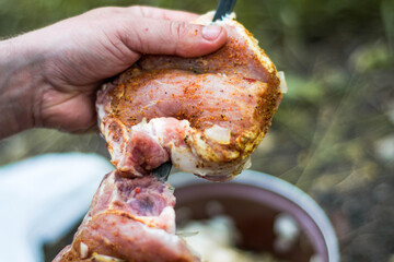 cooking juicy pork skewers in nature