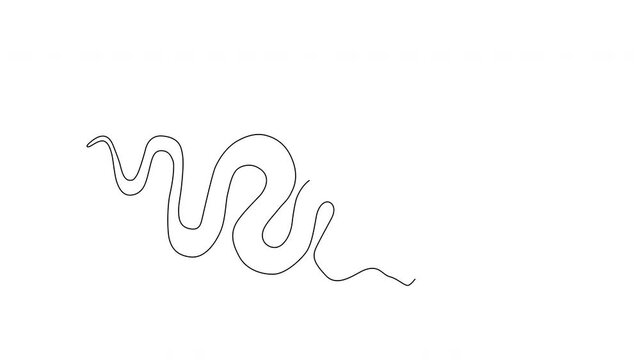 Self drawing animation of snake. White background. Copy space.