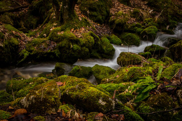 Obraz premium Fast flowing water over small rapids in Vintgar gorge, close to Borovnica, slovenia, on a dull winter day.