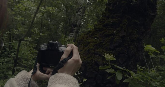 Young female photographer taking pictures in the woods.