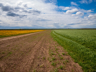 Village Landscape. Natural palette of beauty.