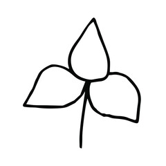 Single hand-drawn leaves for decorating cards, presentations, invitations. Doodle vector illustration. Isolated on white background