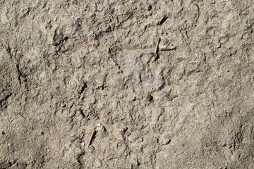 A close view of the flat dirty rock surface texture.