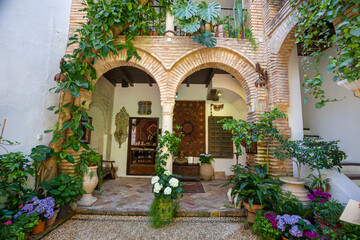 Fototapeta na wymiar Inner courtyard of a typical Andalusian house in Spain.