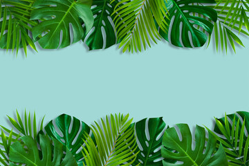 Green leaves nature frame layout of tropical plant bush (monstera, palm, philodendrons, ferns) on...