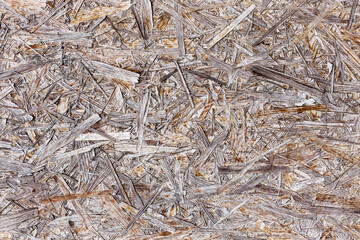 Grungy painted wooden plywood wall. Background photo texture