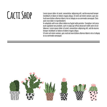 Cacti shop page or flyer template. Hand drawn plants. Cactus and succulent in pot concept.
