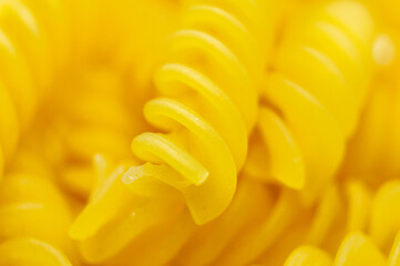 Italian pasta fusilli close-up. Macro photography