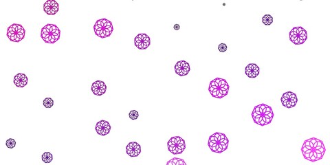 Light Purple, Pink vector natural layout with flowers.