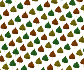 a pattern of rows of multicolored tree leaves isolated on a white background