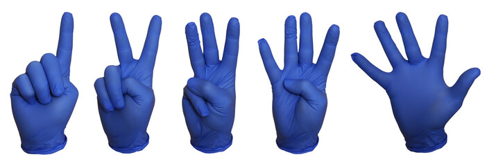hand sign number one, two, three, four, five. hand in a blue nitrile glove isolated on a white background