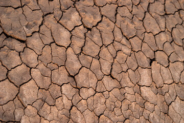 dry cracked earth