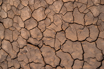 dry cracked earth