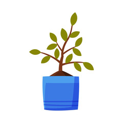 Plant in Blue Pot Flat Style Vector Illustration on White Background