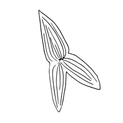 Single hand drawn  leaf . Doodle vector illustration. Floristic element for greeting cards, posters, stickers and seasonal design. Isolated on white background