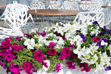 View summer urban elite cafes in recreation area on beach, decorated with richly blooming flowers. Selective focus and space in zone blurring compositions for production of advertising 