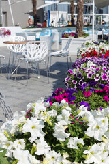 Fototapeta na wymiar View summer urban elite cafes in recreation area on beach, decorated with richly blooming flowers. Selective focus and space in zone blurring compositions for production of advertising 