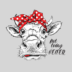 Cute cow in a red polka dot headband. Not today heifer - lettering quote. Humor card, t-shirt composition, hand drawn style print. Vector illustration. - 354950419